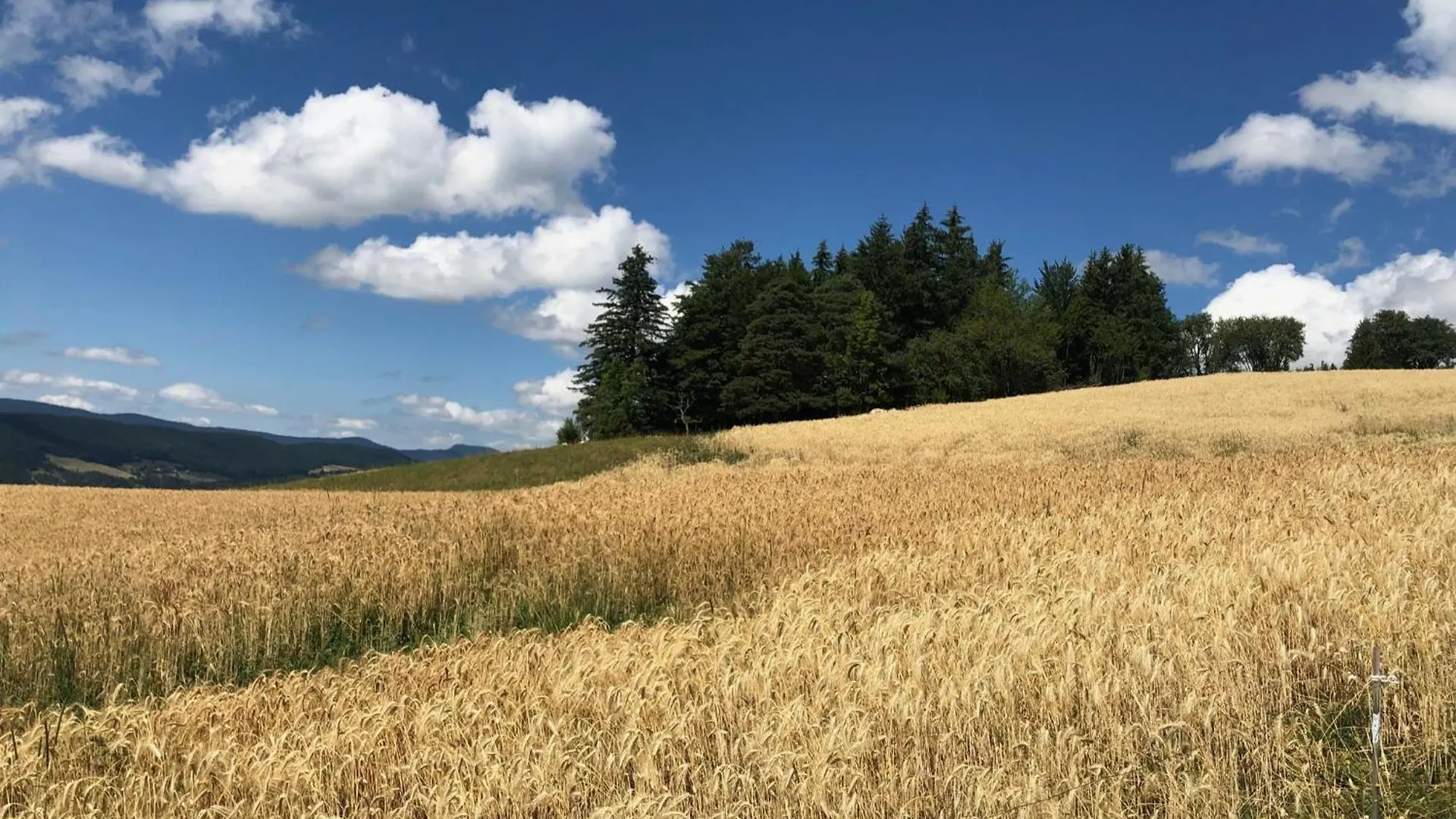 Holiday home Gite Des Rosiers Villa Lans-en-Vercors